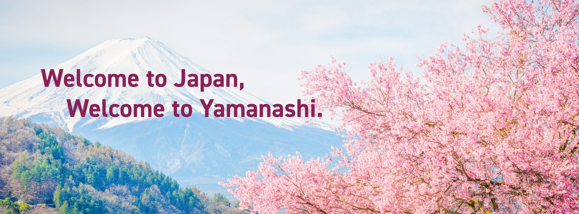 Welcome to Japan, Welcome to Yamanashi.